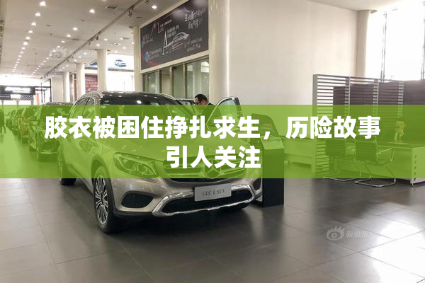 胶衣被困住挣扎求生，历险故事引人关注