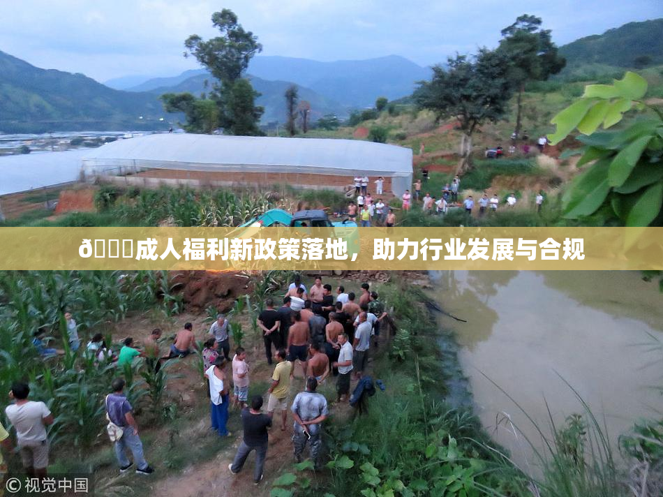 🔞成人福利新政策落地，助力行业发展与合规