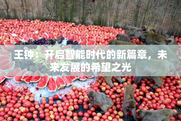 王钟：开启智能时代的新篇章，未来发展的希望之光