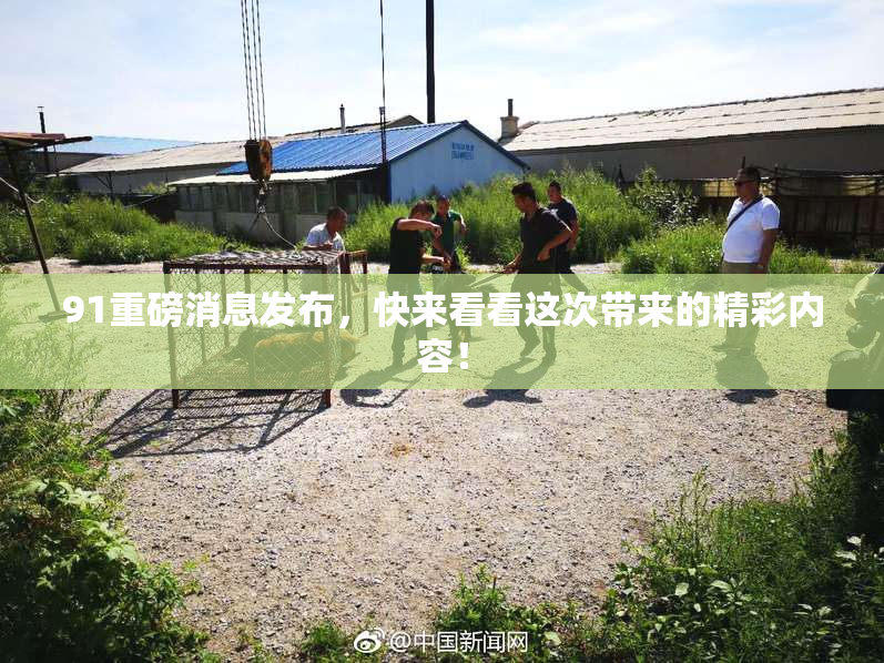 91重磅消息发布，快来看看这次带来的精彩内容！