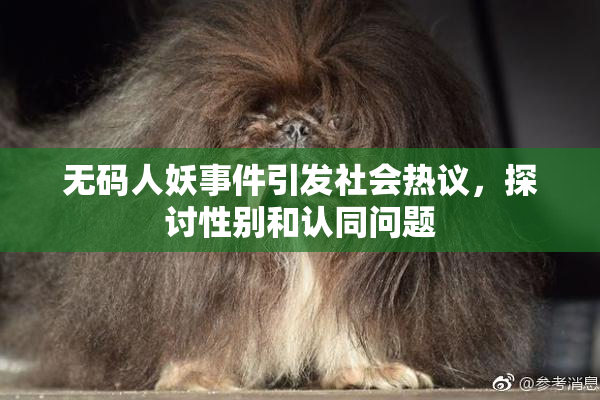 无码人妖事件引发社会热议，探讨性别和认同问题