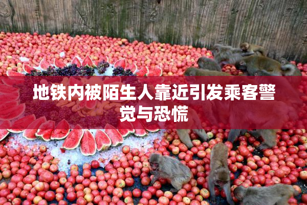 地铁内被陌生人靠近引发乘客警觉与恐慌