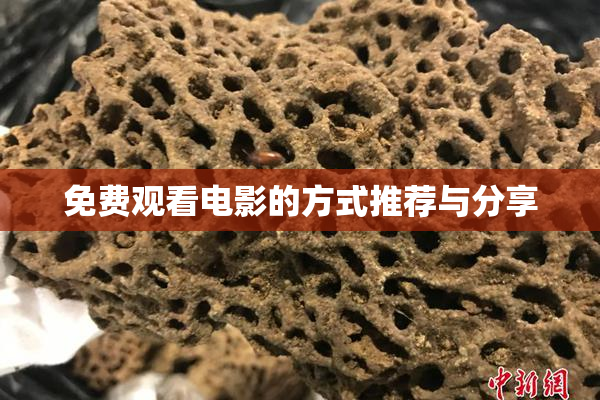 免费观看电影的方式推荐与分享