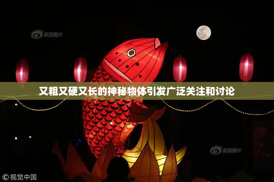 又粗又硬又长的神秘物体引发广泛关注和讨论