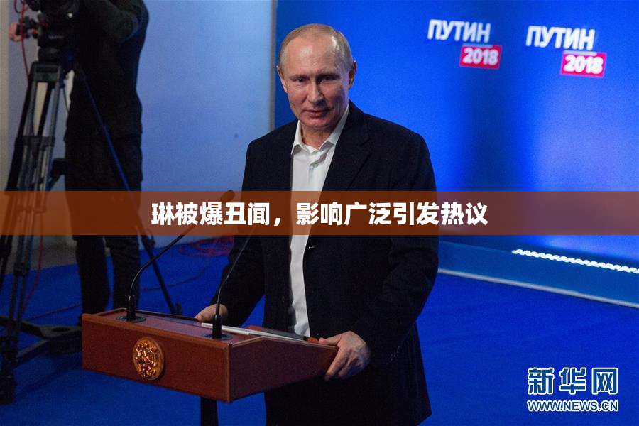 琳被爆丑闻，影响广泛引发热议