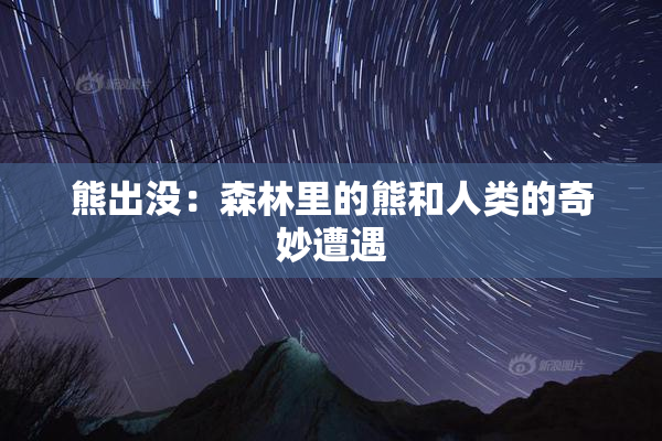 熊出没：森林里的熊和人类的奇妙遭遇