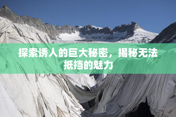 探索诱人的巨大秘密，揭秘无法抵挡的魅力