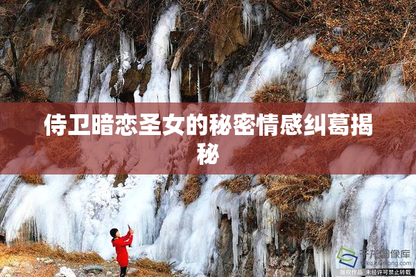 侍卫暗恋圣女的秘密情感纠葛揭秘