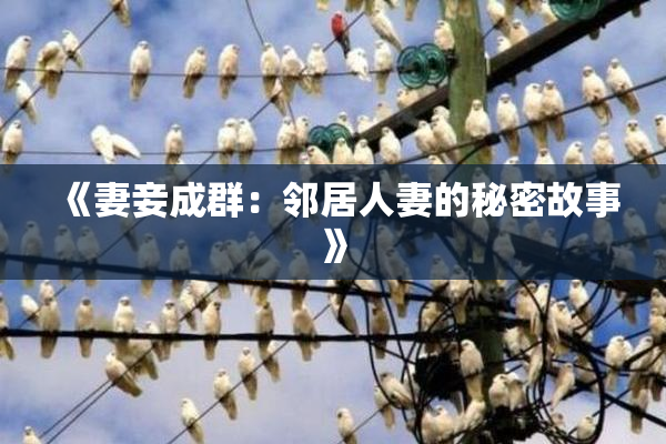 《妻妾成群：邻居人妻的秘密故事》