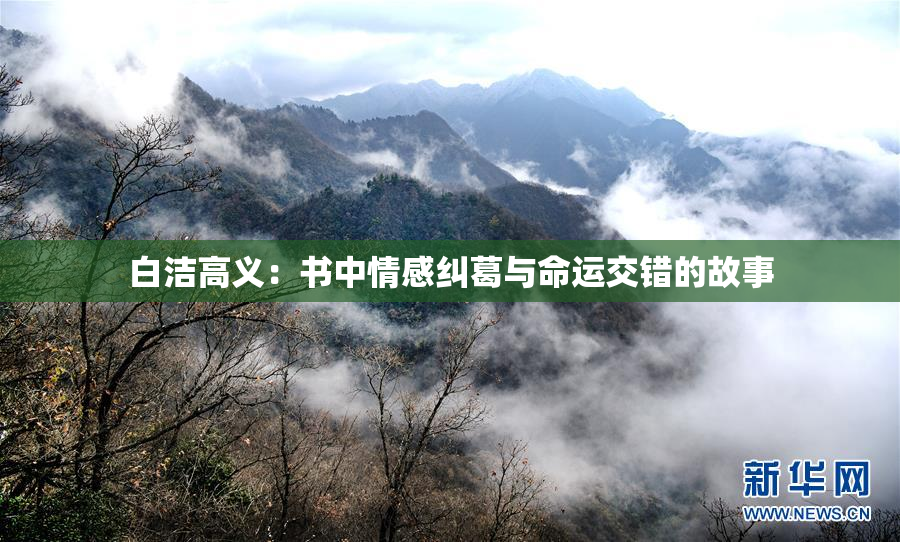白洁高义：书中情感纠葛与命运交错的故事