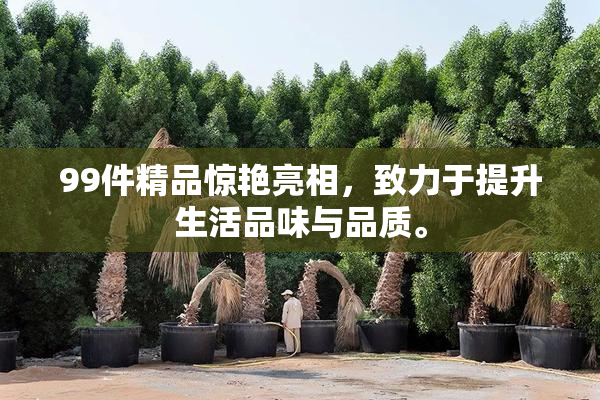 99件精品惊艳亮相，致力于提升生活品味与品质。