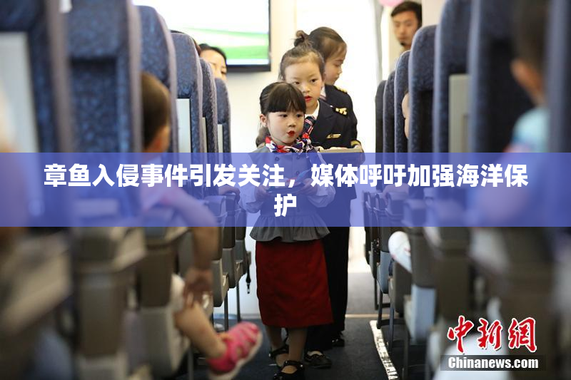 章鱼入侵事件引发关注，媒体呼吁加强海洋保护