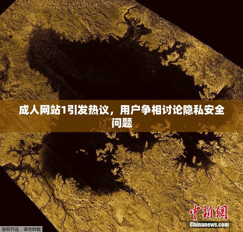 成人网站1引发热议，用户争相讨论隐私安全问题