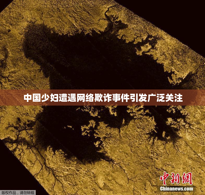 中国少妇遭遇网络欺诈事件引发广泛关注