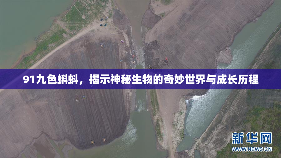 91九色蝌蚪，揭示神秘生物的奇妙世界与成长历程