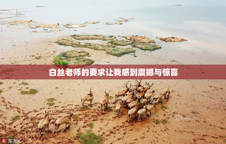 白丝老师的要求让我感到震撼与惊喜