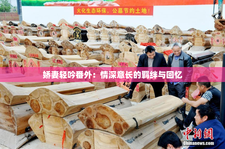 娇妻轻吟番外：情深意长的羁绊与回忆
