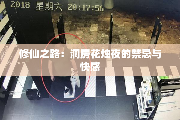 修仙之路：洞房花烛夜的禁忌与快感
