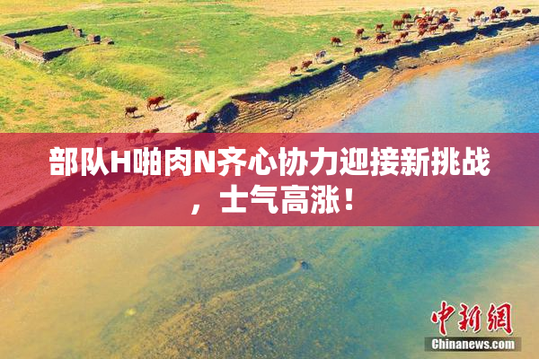 部队H啪肉N齐心协力迎接新挑战，士气高涨！