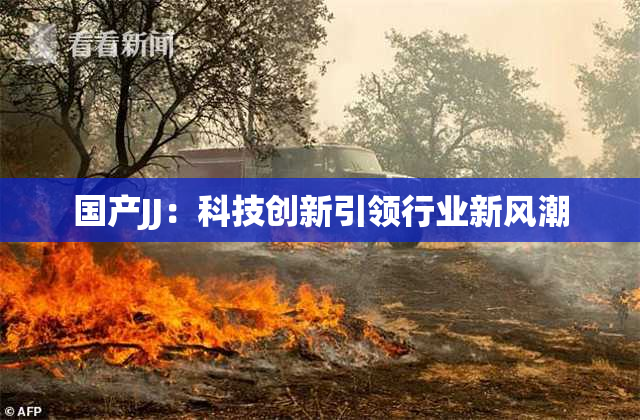 国产JJ：科技创新引领行业新风潮