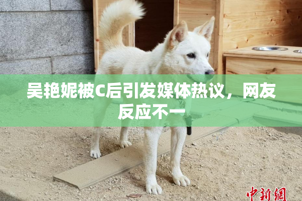 吴艳妮被C后引发媒体热议，网友反应不一