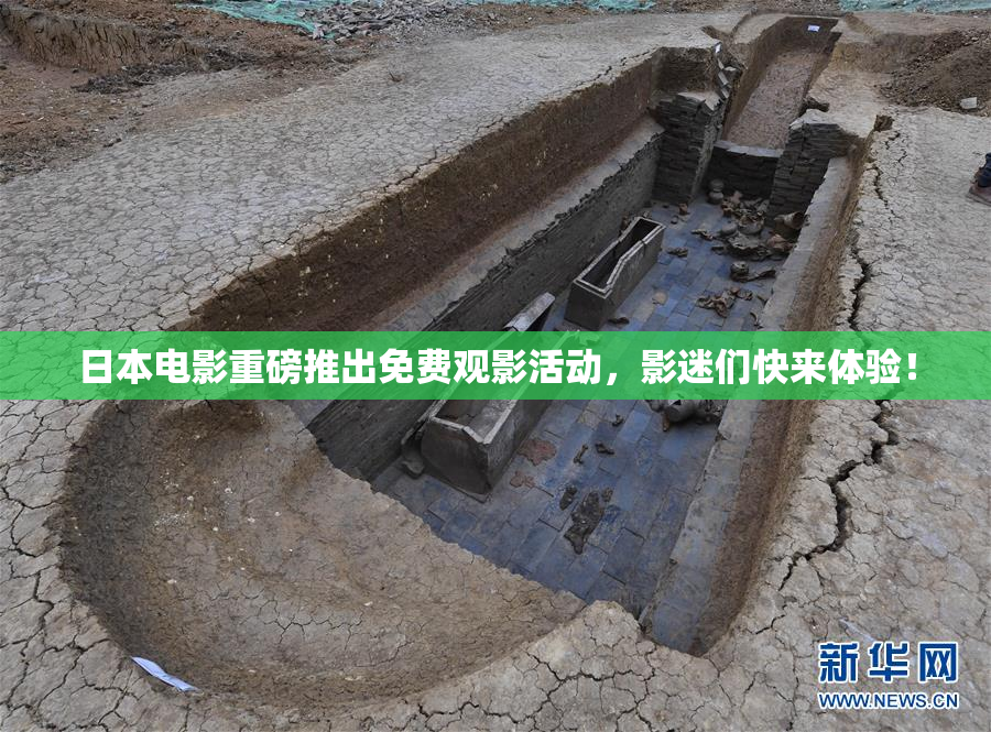 日本电影重磅推出免费观影活动，影迷们快来体验！