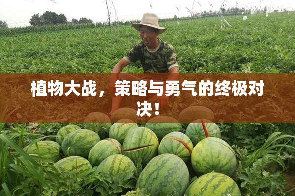 植物大战，策略与勇气的终极对决！