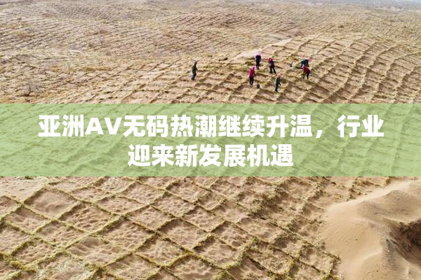 亚洲AV无码热潮继续升温，行业迎来新发展机遇