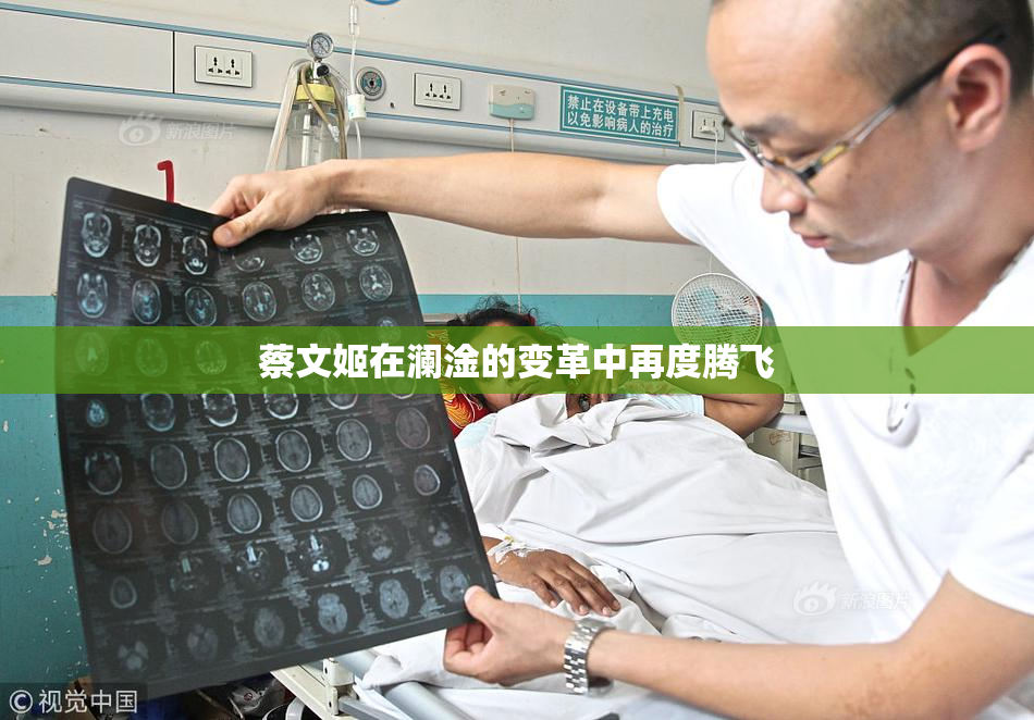 蔡文姬在澜淦的变革中再度腾飞