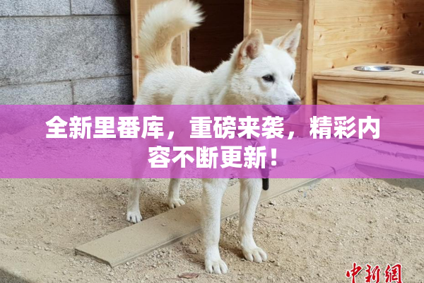 全新里番库，重磅来袭，精彩内容不断更新！
