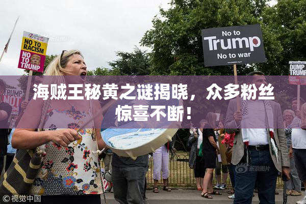 海贼王秘黄之谜揭晓，众多粉丝惊喜不断！