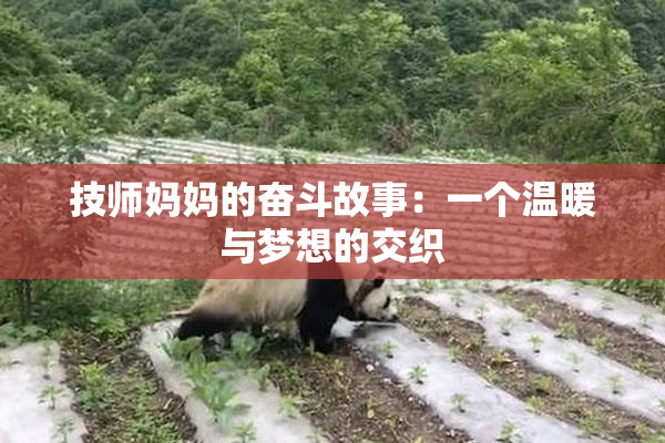 技师妈妈的奋斗故事：一个温暖与梦想的交织