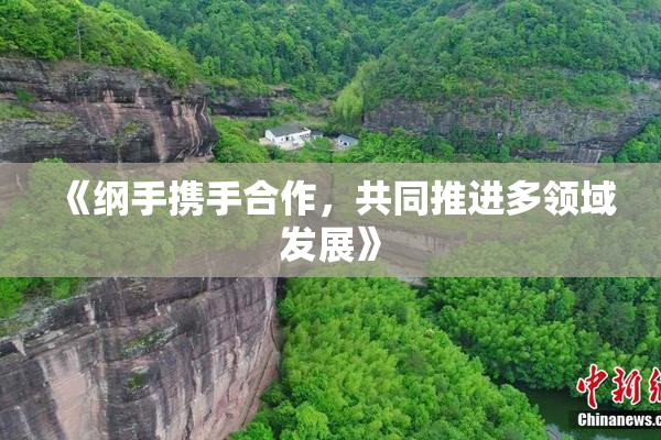 《纲手携手合作，共同推进多领域发展》