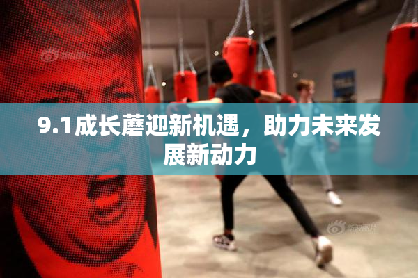 9.1成长蘑迎新机遇，助力未来发展新动力