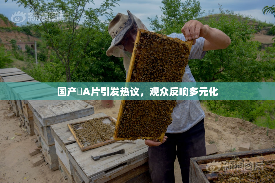 国产婬A片引发热议，观众反响多元化