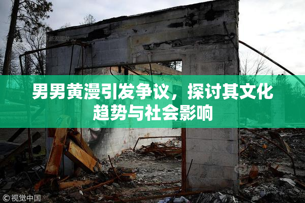 男男黄漫引发争议，探讨其文化趋势与社会影响