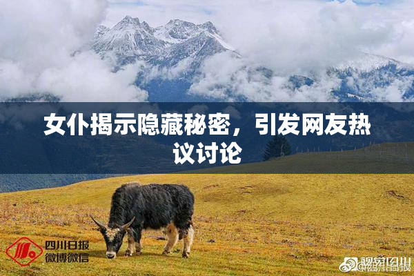 女仆揭示隐藏秘密，引发网友热议讨论