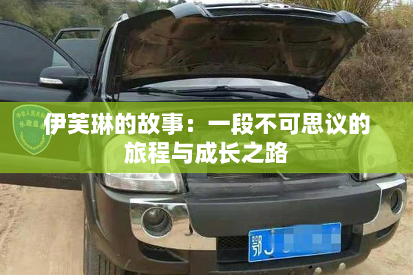 伊芙琳的故事：一段不可思议的旅程与成长之路