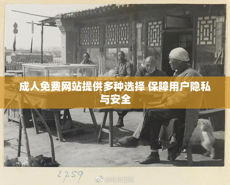 成人免费网站提供多种选择 保障用户隐私与安全