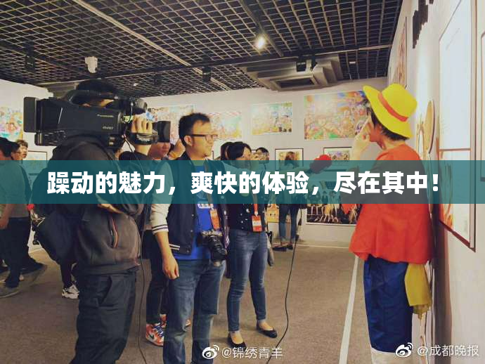躁动的魅力，爽快的体验，尽在其中！