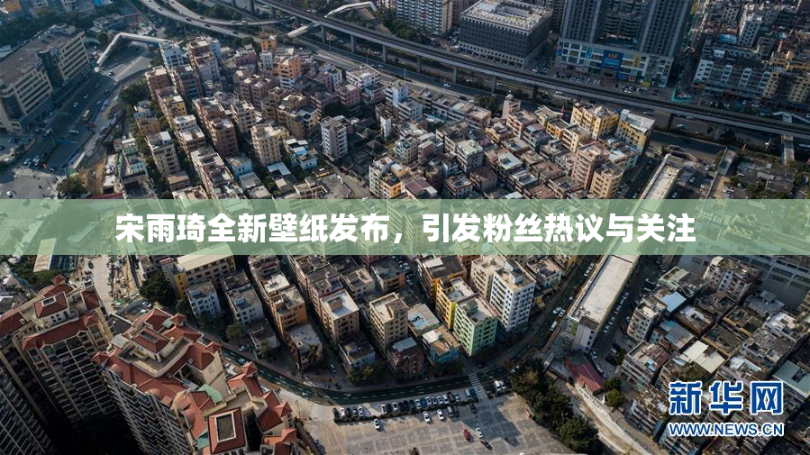 宋雨琦全新壁纸发布，引发粉丝热议与关注