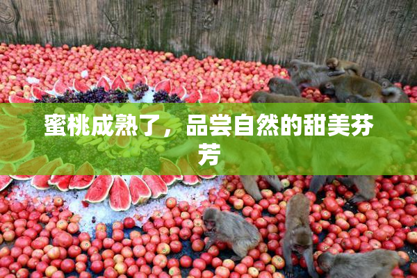 蜜桃成熟了，品尝自然的甜美芬芳