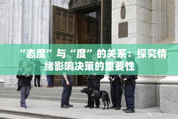 “态度”与“度”的关系：探究情绪影响决策的重要性