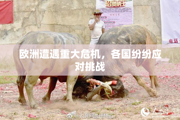 欧洲遭遇重大危机，各国纷纷应对挑战