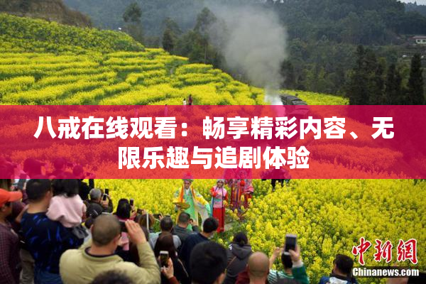 八戒在线观看：畅享精彩内容、无限乐趣与追剧体验