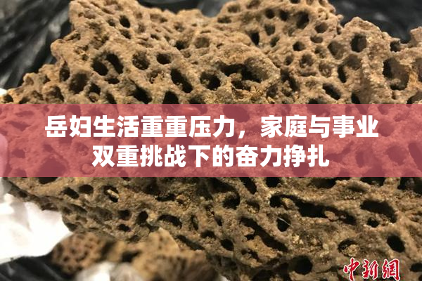 岳妇生活重重压力，家庭与事业双重挑战下的奋力挣扎