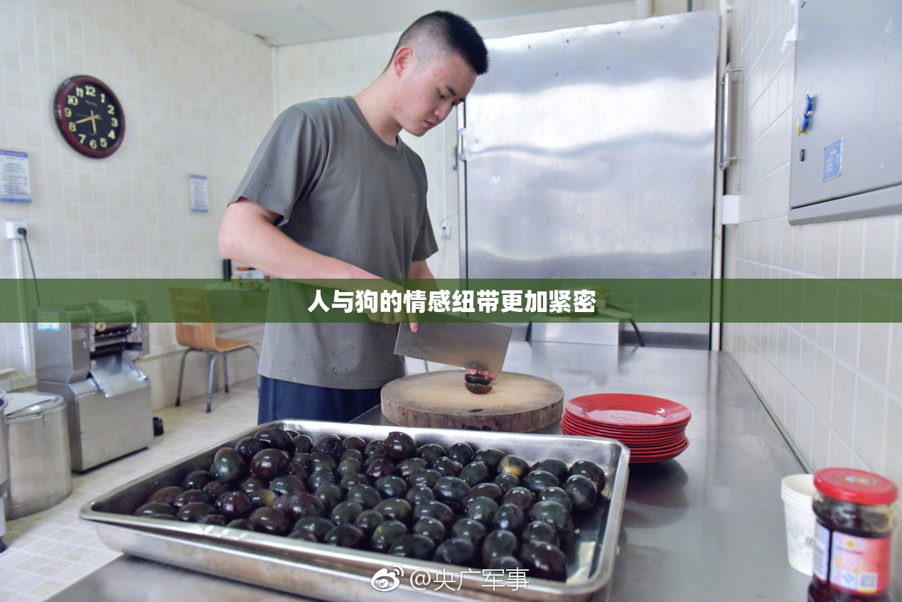 人与狗的情感纽带更加紧密