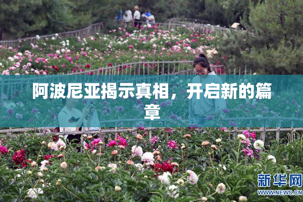 阿波尼亚揭示真相，开启新的篇章