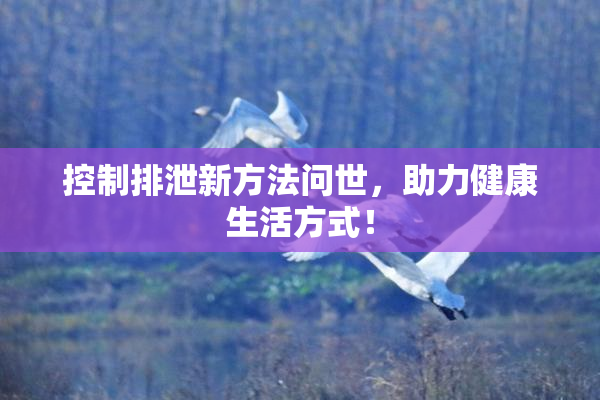 控制排泄新方法问世，助力健康生活方式！