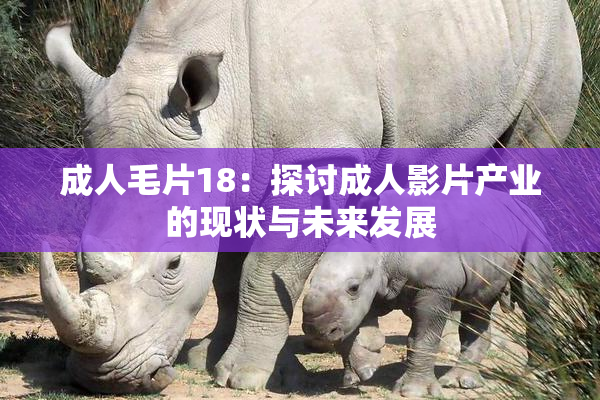 成人毛片18：探讨成人影片产业的现状与未来发展